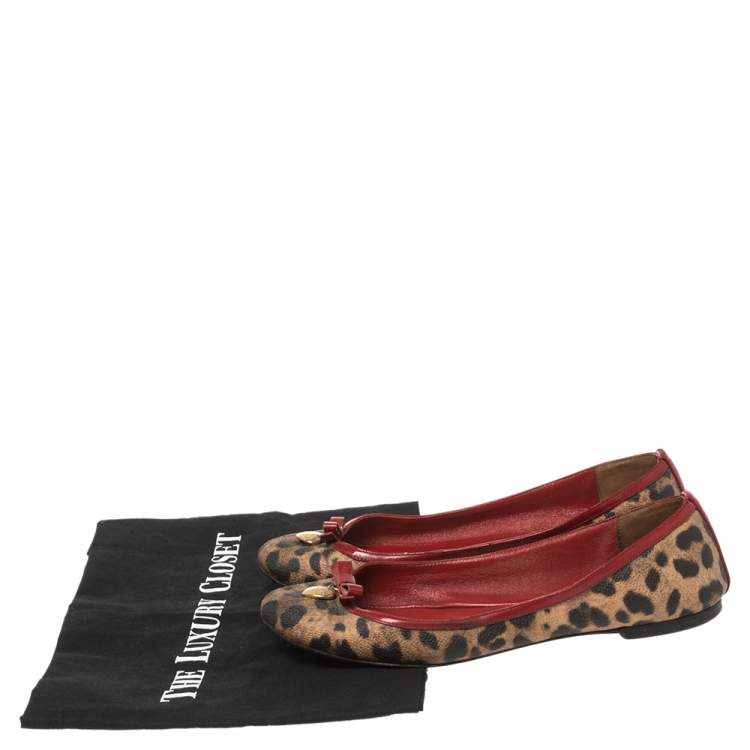 مملوكة مسبقًا Dolce & Gabbana Brown Leopard Print Coated Canvas and Patent Leather Bow Detail Ballet Flats Size 39