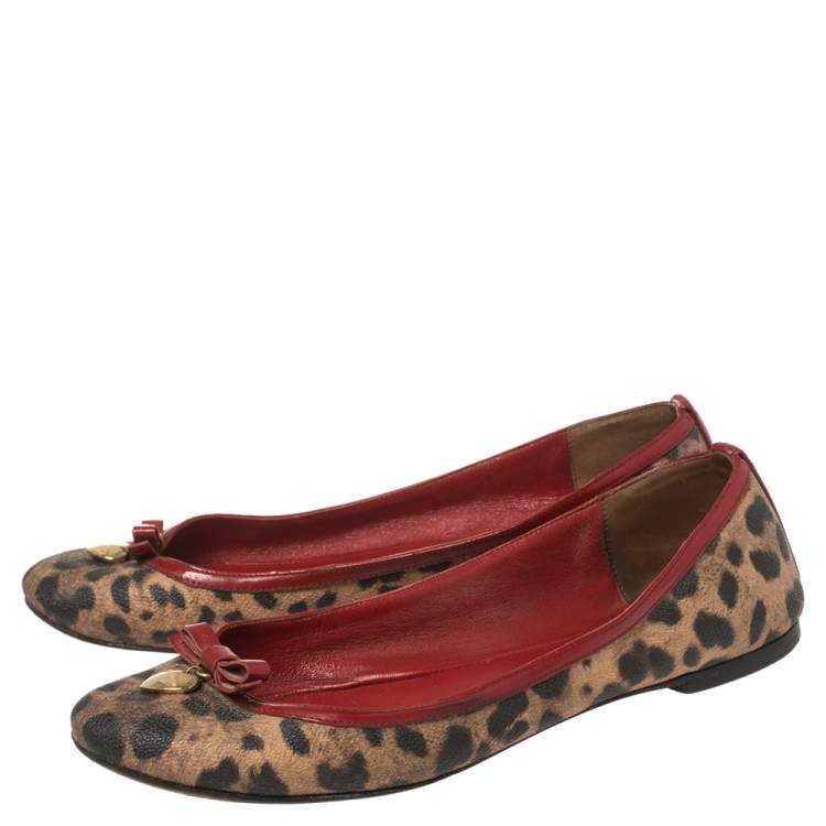 مملوكة مسبقًا Dolce & Gabbana Brown Leopard Print Coated Canvas and Patent Leather Bow Detail Ballet Flats Size 39