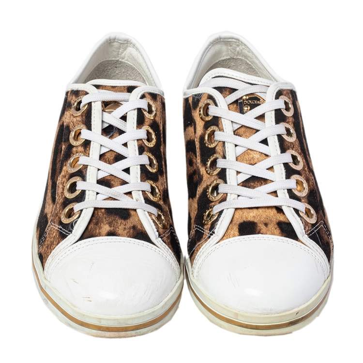 مملوكة مسبقًا Dolce & Gabbana Brown/White Leopard Print Canvas and Leather Lace Low Top Sneakers Size 38