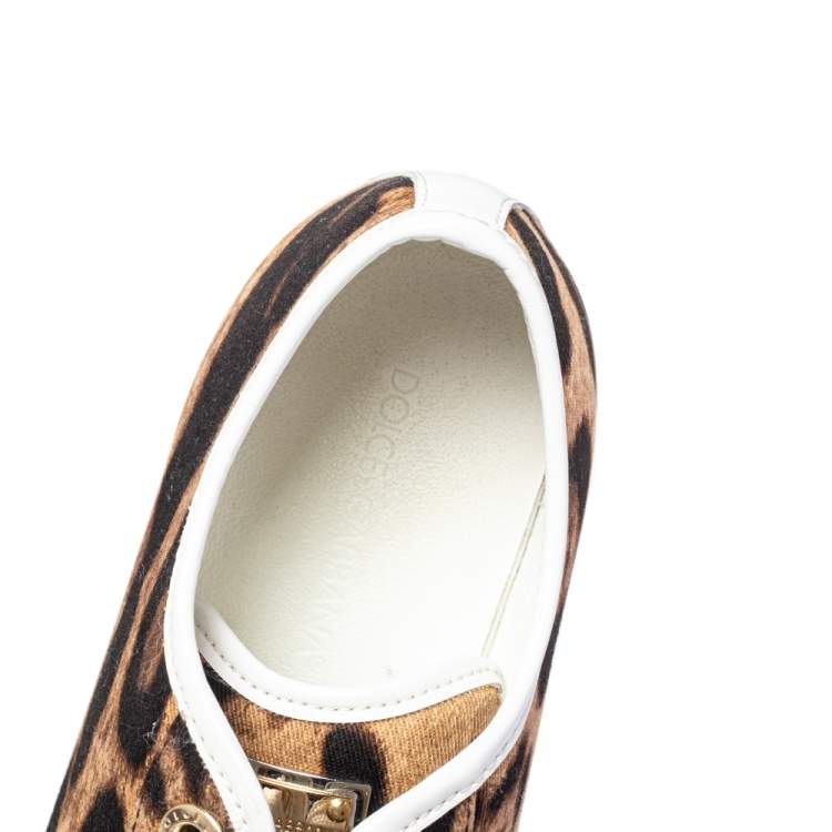 مملوكة مسبقًا Dolce & Gabbana Brown/White Leopard Print Canvas and Leather Lace Low Top Sneakers Size 38