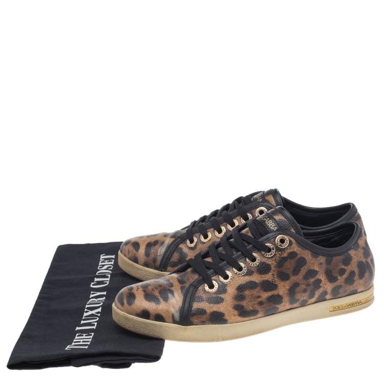 مملوكة مسبقًا Dolce & Gabbana Brown Leopard Print Coated Canvas Low Top Sneakers Size 36.5