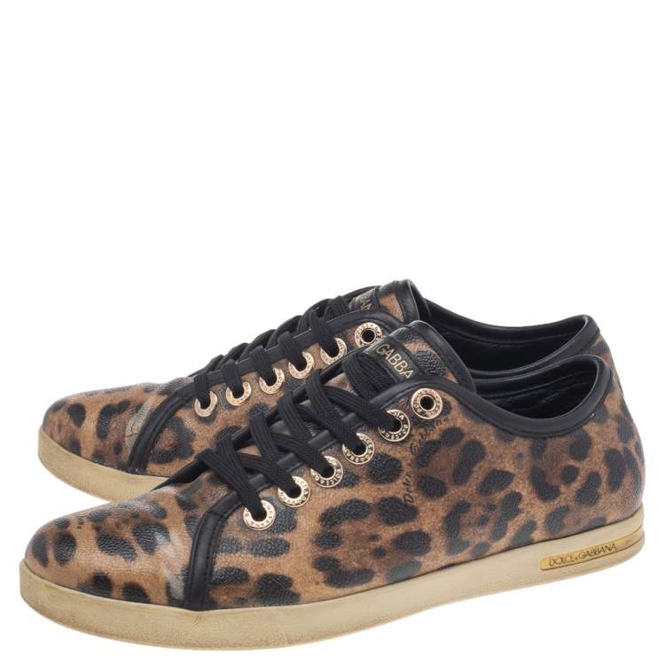 مملوكة مسبقًا Dolce & Gabbana Brown Leopard Print Coated Canvas Low Top Sneakers Size 36.5