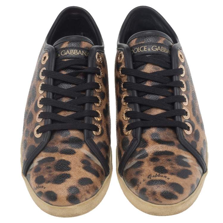 مملوكة مسبقًا Dolce & Gabbana Brown Leopard Print Coated Canvas Low Top Sneakers Size 36.5