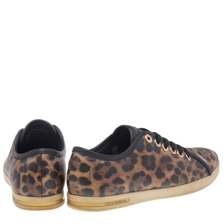مملوكة مسبقًا Dolce & Gabbana Brown Leopard Print Coated Canvas Low Top Sneakers Size 36.5