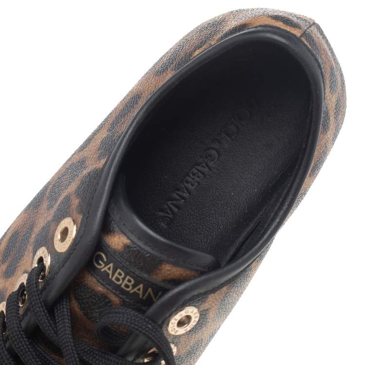 مملوكة مسبقًا Dolce & Gabbana Brown Leopard Print Coated Canvas Low Top Sneakers Size 36.5
