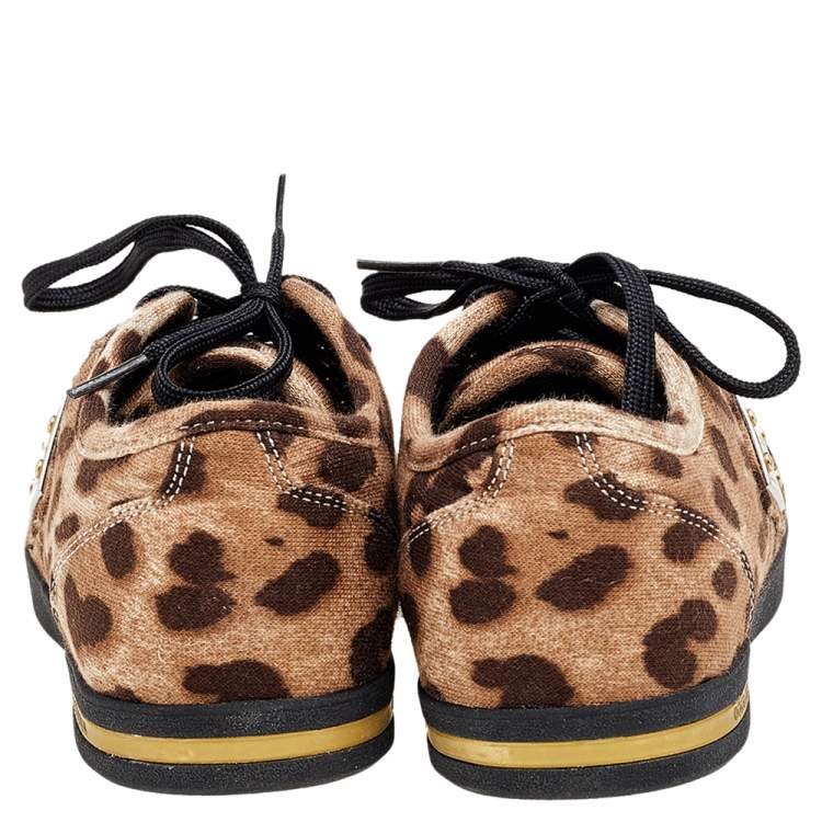 Pre Owned Dolce & Gabbana Brown Leopard Print Knit Fabric Low Top Sneakers Size 37
