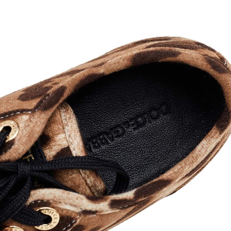Pre Owned Dolce & Gabbana Brown Leopard Print Knit Fabric Low Top Sneakers Size 37