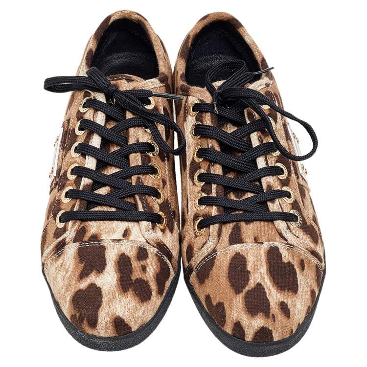 Pre Owned Dolce & Gabbana Brown Leopard Print Knit Fabric Low Top Sneakers Size 37