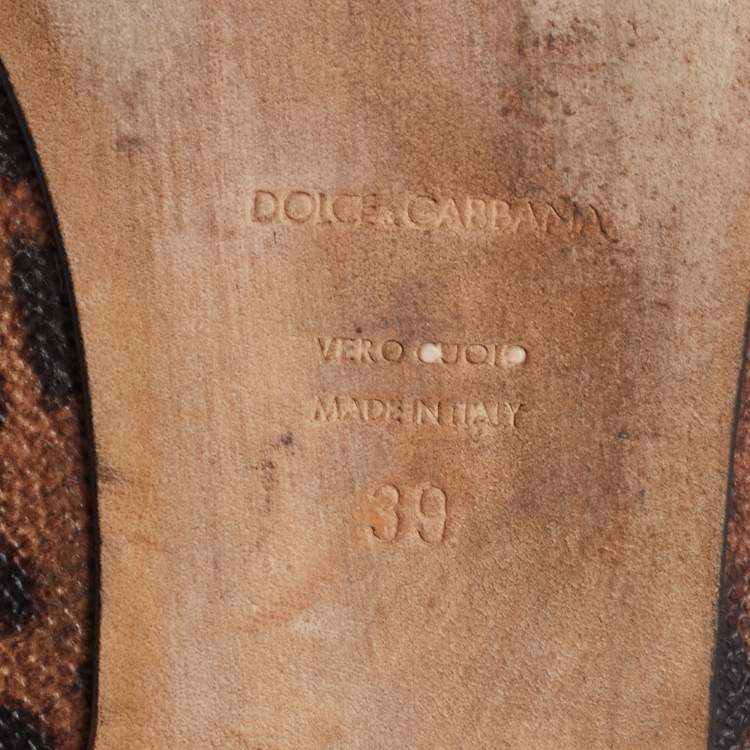 مملوكة مسبقًا Dolce & Gabbana Brown Leopard Print Coated Canvas Bow Detail Ballet Flats Size 39