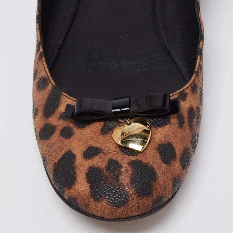 مملوكة مسبقًا Dolce & Gabbana Brown Leopard Print Coated Canvas Bow Detail Ballet Flats Size 39