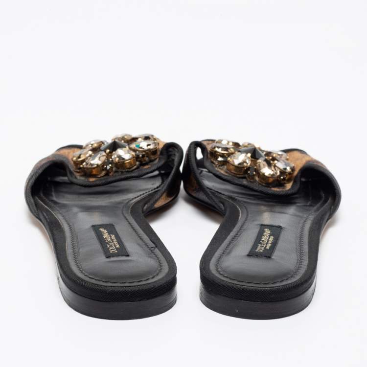 مملوكة مسبقًا Dolce & Gabbana Brown Leopard Print Coated Canvas Crystal Embellished Flat Slides Size 37.5