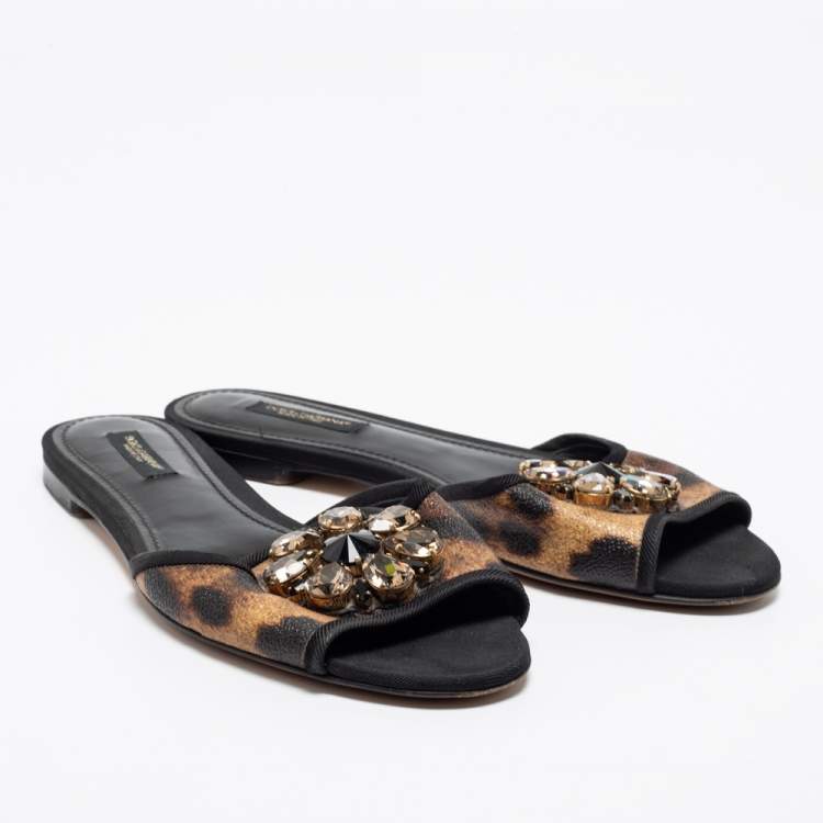 مملوكة مسبقًا Dolce & Gabbana Brown Leopard Print Coated Canvas Crystal Embellished Flat Slides Size 37.5