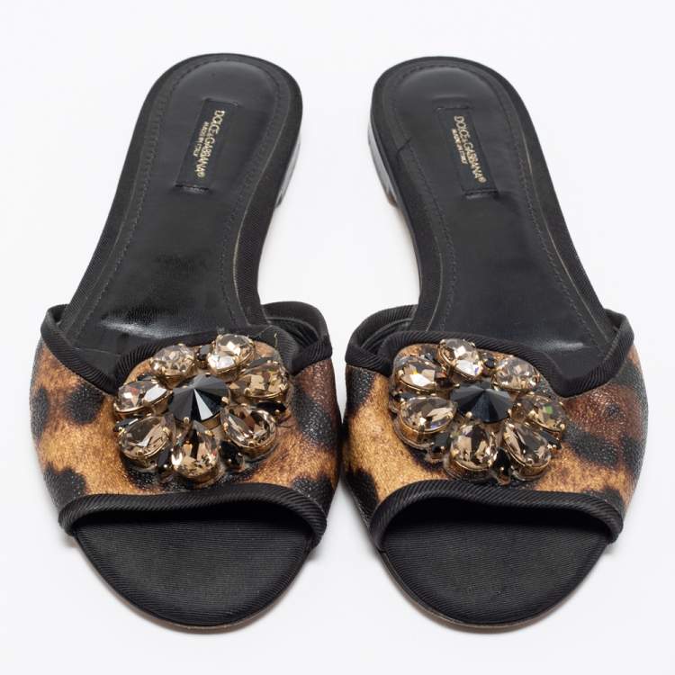 مملوكة مسبقًا Dolce & Gabbana Brown Leopard Print Coated Canvas Crystal Embellished Flat Slides Size 37.5