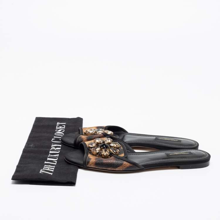 مملوكة مسبقًا Dolce & Gabbana Brown Leopard Print Coated Canvas Crystal Embellished Flat Slides Size 37.5