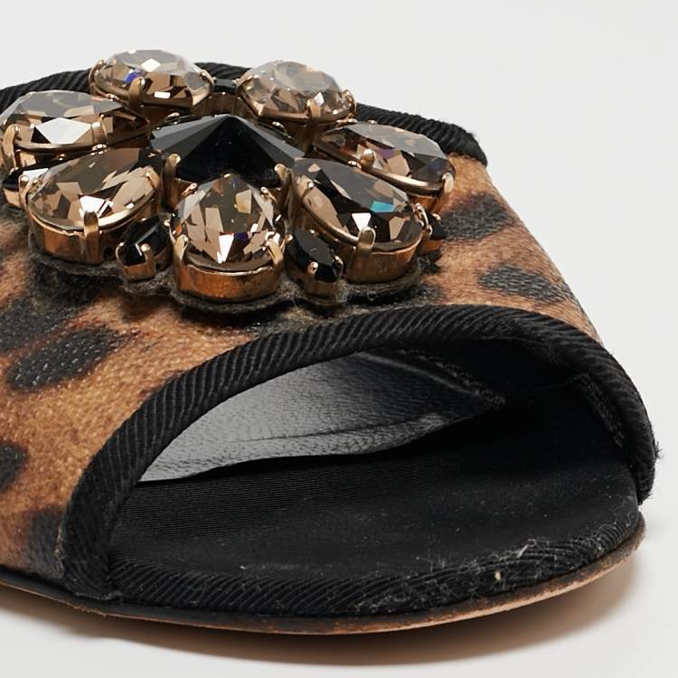 Pre Owned Dolce & Gabbana Brown/Black Leopard Print Coated Canvas Crystal Embellished Flat Slides Size 37