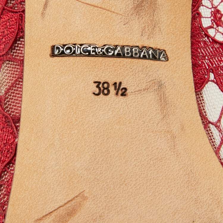 مملوكة مسبقًا Dolce & Gabbana Dark Red Lace Bellucci Pumps Size 38.5