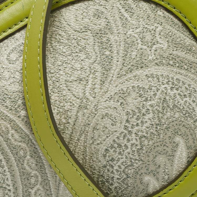 Pre Owned Etro Green/Grey Paisley Coated Canvas and Python Embossed Crossbody Bag