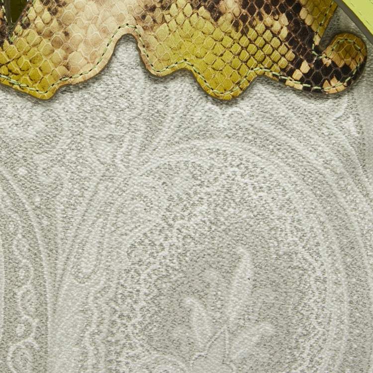 Pre Owned Etro Green Paisley Print Coated Canvas, Python Embossed and Leather Slim Crossbody Bag