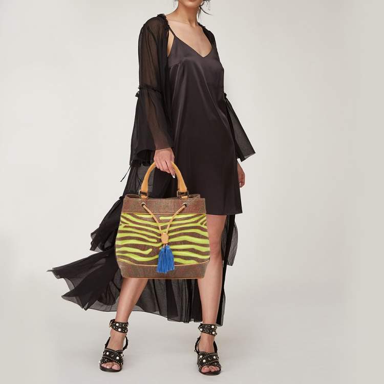 Etro Multicolor Paisley Print Coated Canvas and Leather