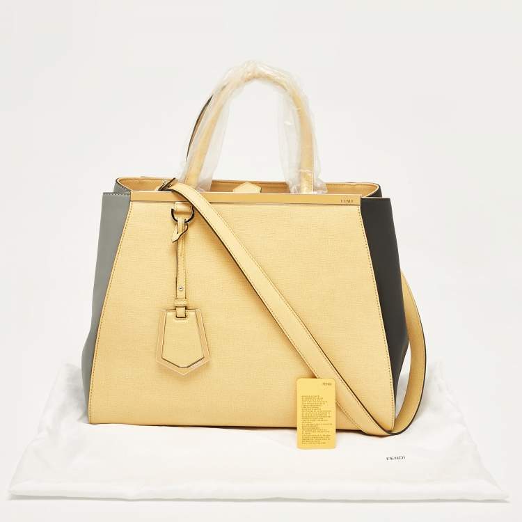 Pre Owned Fendi Tricolor Leather Medium 2Jours Tote