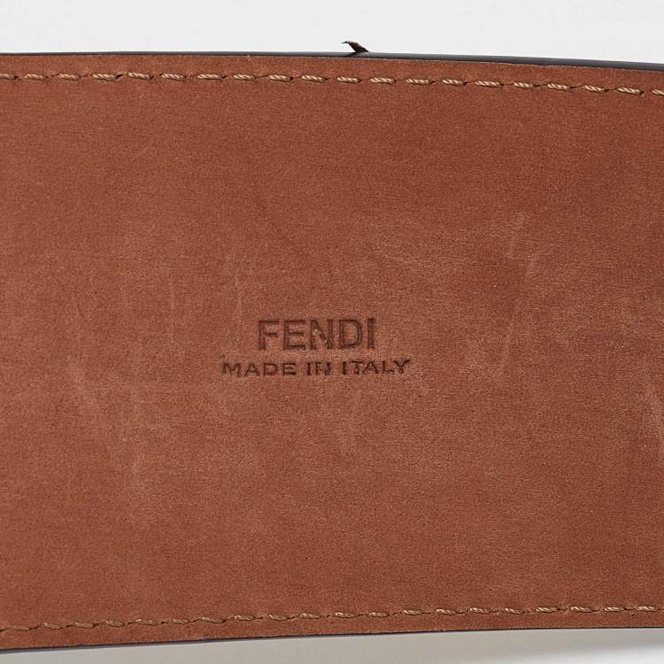 Pre Owned Fendi Multicolor Watersnake Leather Waist Belt 85CM