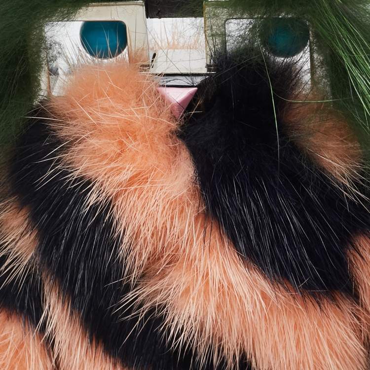 Pre Owned Fendi Multicolor Mink Fur Hypnoteyes Witches Bag Charm