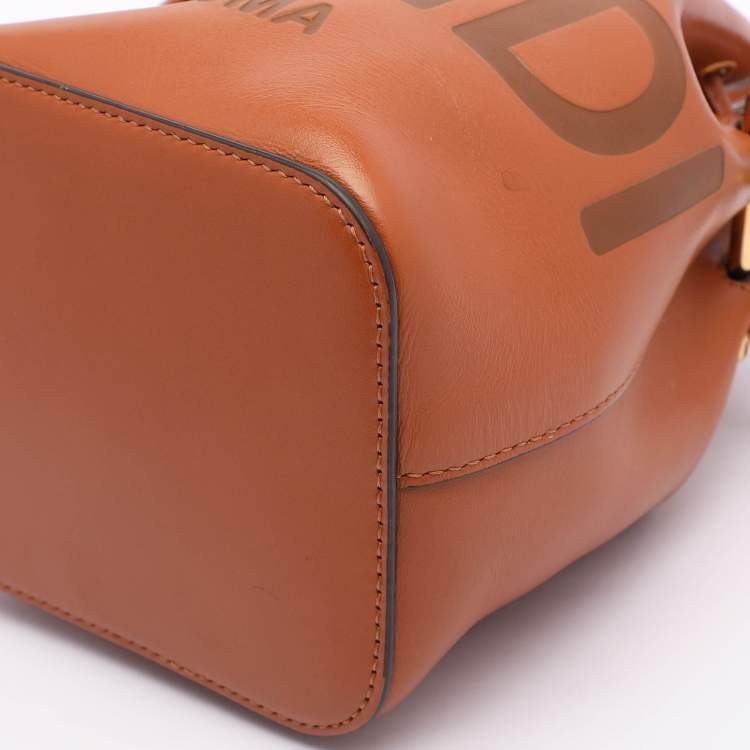 Pre Owned Fendi Brown Leather Mini Mon Tresor Bucket Bag