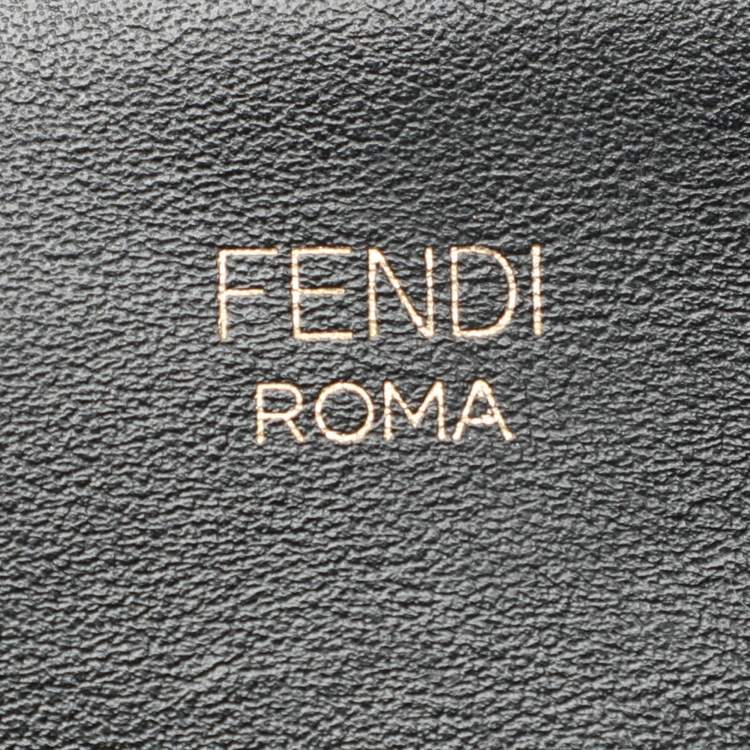 Pre Owned Fendi Black/Brown FF Embossed Leather Mini Camera Crossbody Bag