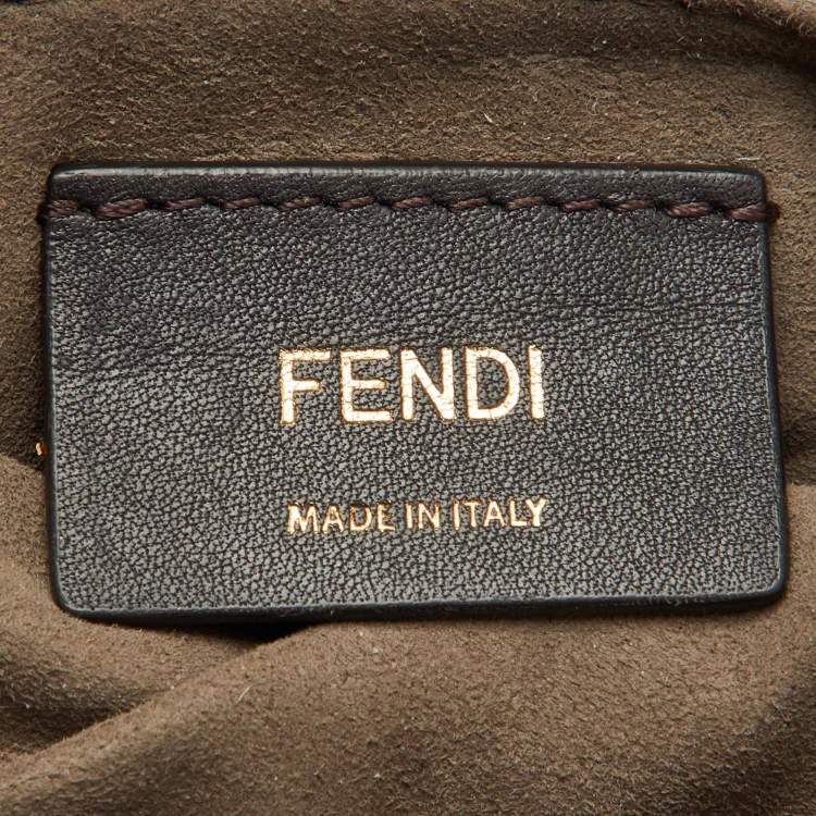 Pre Owned Fendi Brown/Red Zucca Leather Mon Tresor Bucket Bag