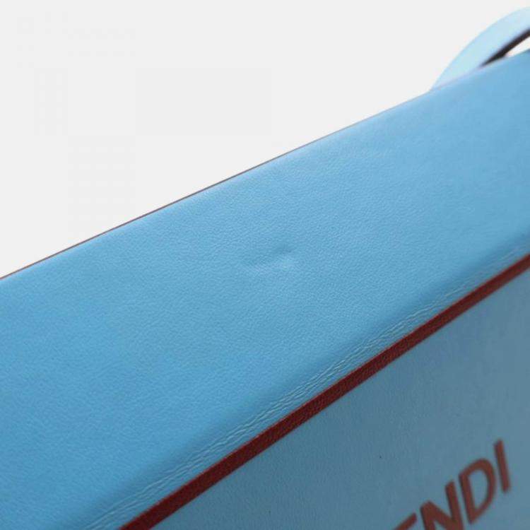 Pre Owned Fendi Leather Horizontal Box Bag
