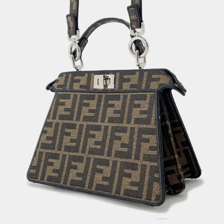 Pre Owned Fendi Peekaboo I See You PokMon Collaboration Dratini Brown Canvas Size Petit