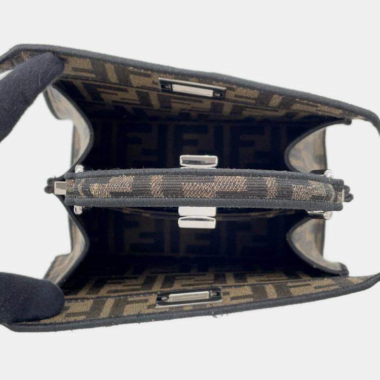 Pre Owned Fendi Peekaboo I See You PokMon Collaboration Dratini Brown Canvas Size Petit