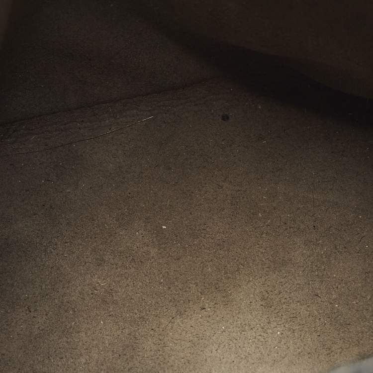 Pre Owned Fendi FF Studded Mon Tresor Mini Black Leather Bucket Bag