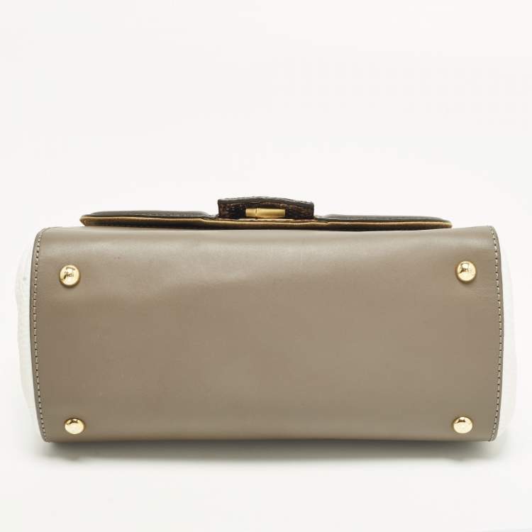 مملوكة مسبقًا Fendi Silvana Multicolor Leather and Water Snake Top Handle Bag