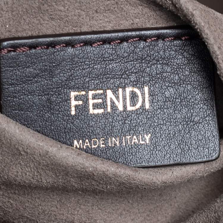 Pre Owned Fendi Tricolor Zucca Leather Mon Tresor Grande Bucket Bag