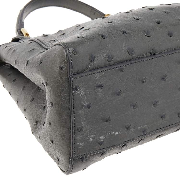 Pre Owned Fendi Grey Ostrich Leather Mini Peekaboo Top Handle Bag