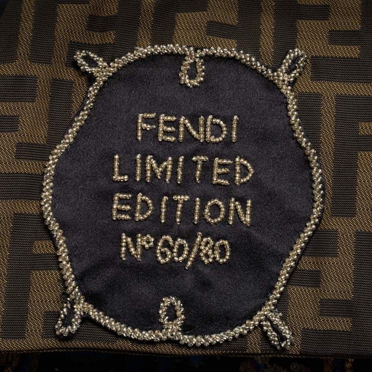 Pre Owned Fendi Multicolor Embroidered Satin Limited Edition Squirrel Spy Hobo