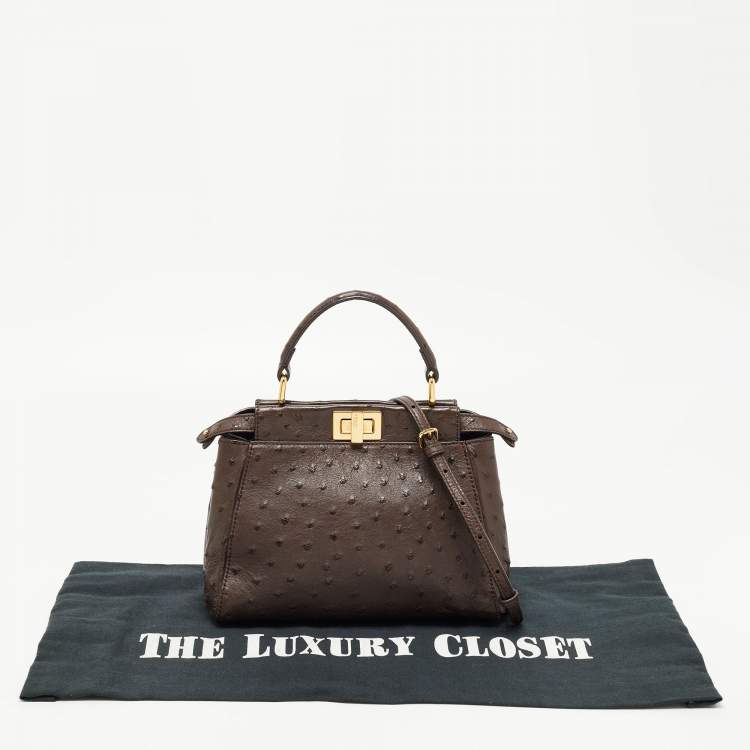 Pre Owned Fendi Brown Ostrich Leather Mini Peekaboo Top Handle Bag