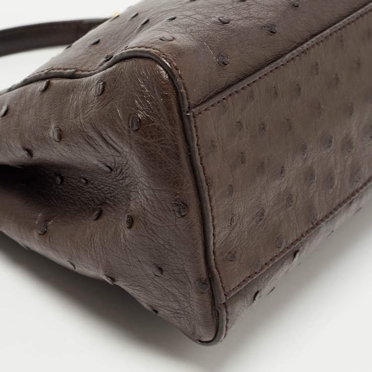 Pre Owned Fendi Brown Ostrich Leather Mini Peekaboo Top Handle Bag