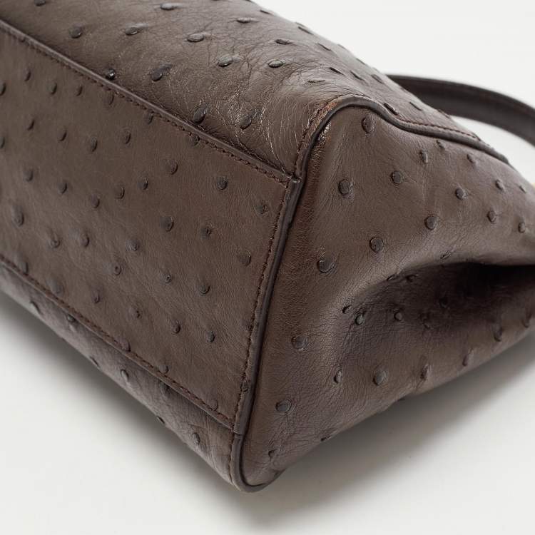 Pre Owned Fendi Brown Ostrich Leather Mini Peekaboo Top Handle Bag