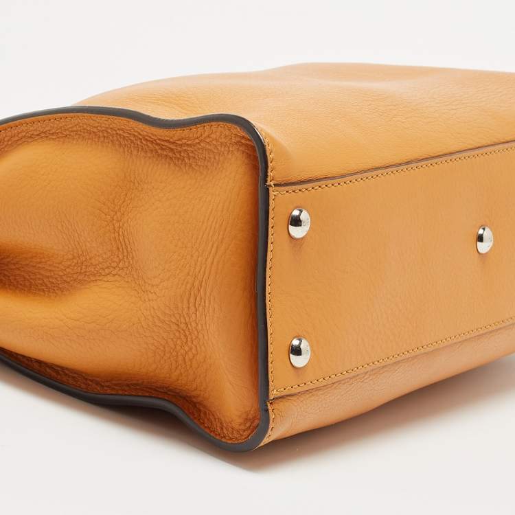 مملوكة مسبقًا Fendi Tan Printed Plexiglass and Leather Medium Peekaboo IseeU Top Handle Bag