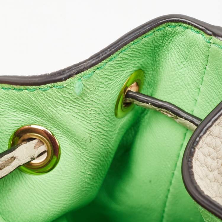 Pre Owned Fendi Grey/Green Leather Mini Mon Tresor Bucket Bag
