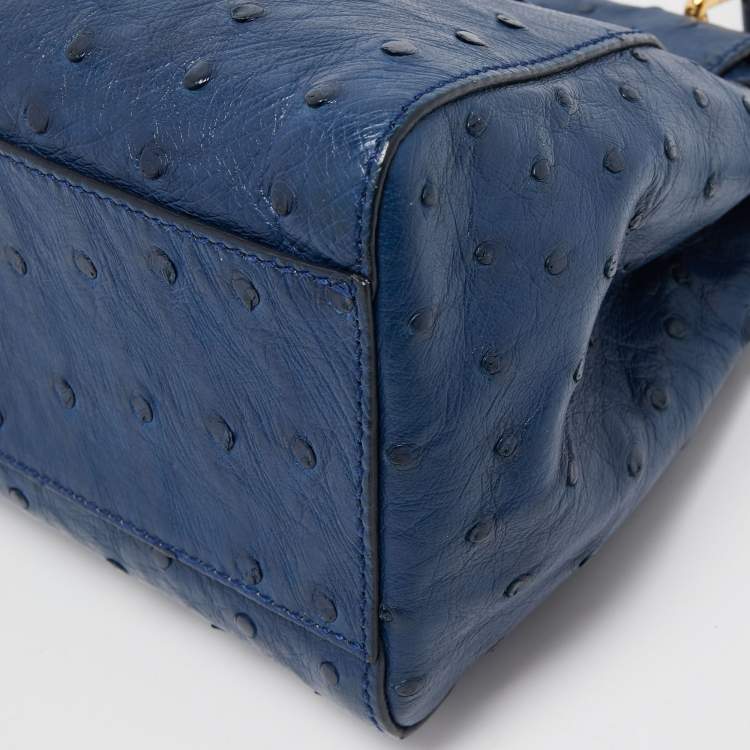 Pre Owned Fendi Navy Blue Ostrich Leather Mini Peekaboo Top Handle Bag
