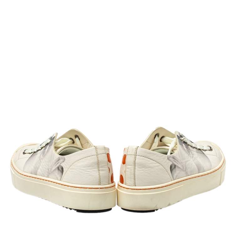 Pre Owned Fendi Multicolor Printed Leather Low Top Sneakers Size 36