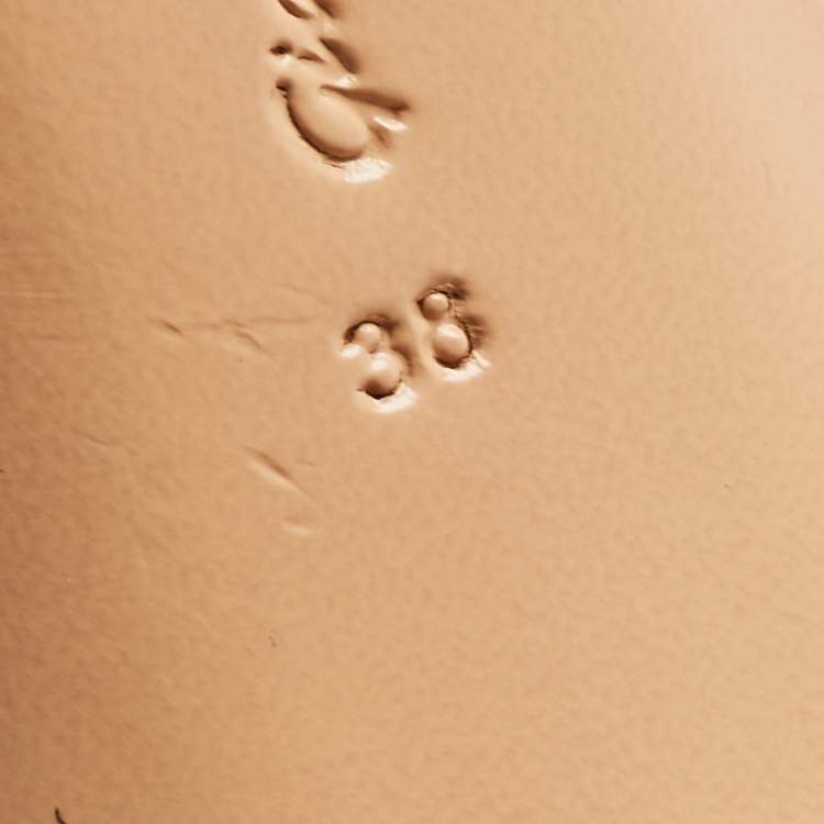 Pre Owned Gianvito Rossi Black Leather Pointed Toe Mules Size 38