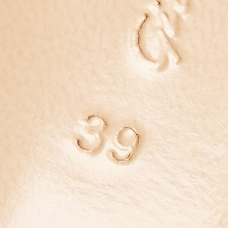 Pre Owned Gianvito Rossi Beige Leather and PVC Plexi Pumps Size 39