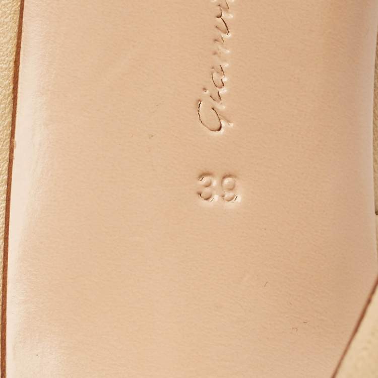 Pre Owned Gianvito Rossi Beige Leather Gianvito Pointed Toe Pumps Size 39