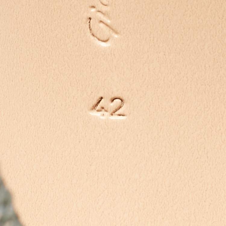 Pre Owned Gianvito Rossi Silver Iridescent Leather and Sequins Portofino Ankle Strap Sandals Size 42