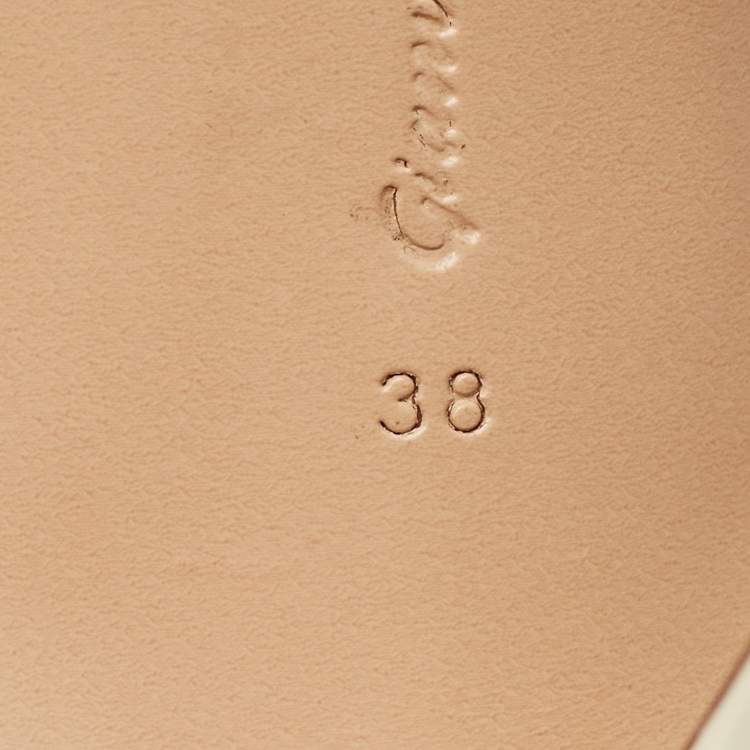 Pre Owned Gianvito Rossi Transparent PVC Elle Slide Sandals Size 38