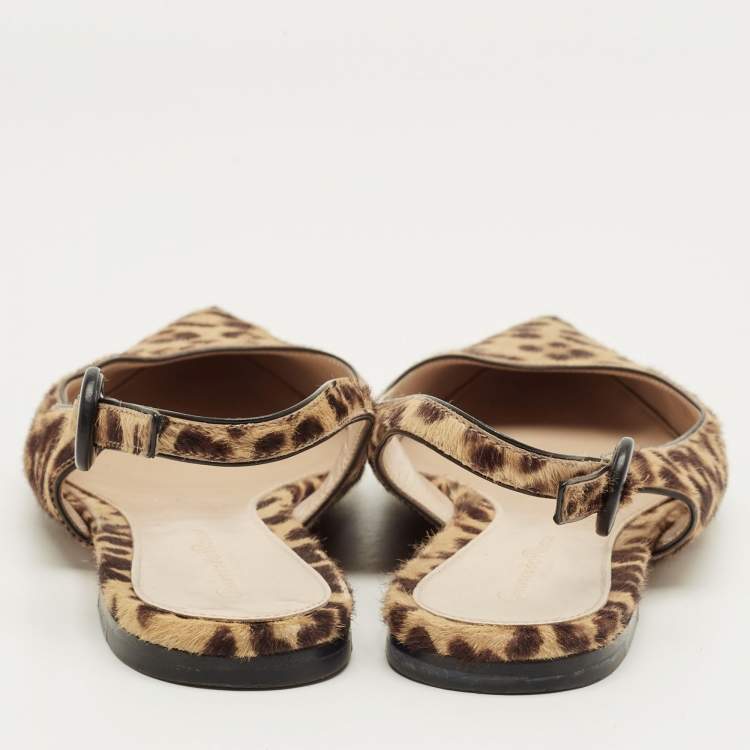 Pre Owned Gianvito Rossi Brown Leopard Print Calfhair Anna Slingback Flats Size 36